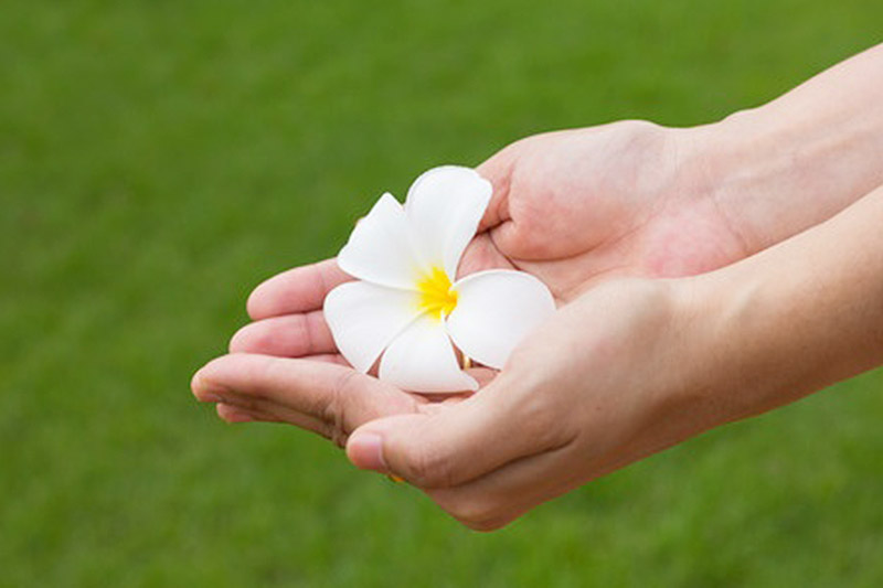 精神科・治療方針